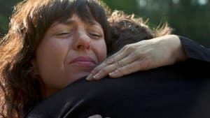 No volveremos backdrop