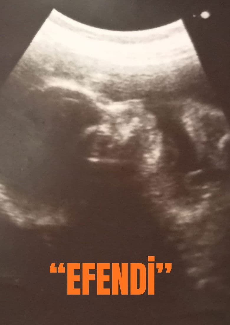"EFENDİ" poster